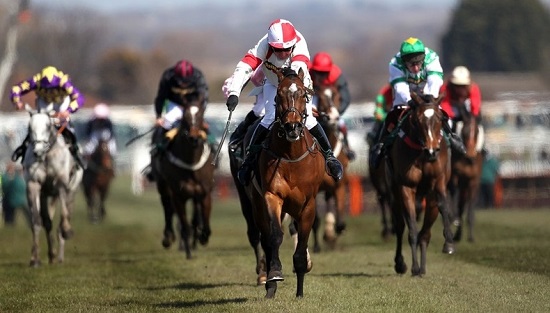 Как ставить на стипльчез Grand National?